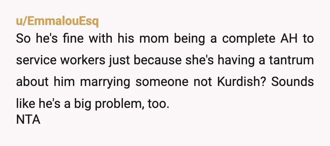 u/EmmalouEsq So he's fine with his mom being a complete AH to service workers just because she's having a tantrum about him marrying someone not Kurdish? Sounds like he's a...