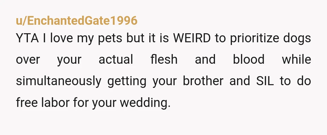 u/craftycat1135
How do you host family gatherings regularly yet it's so unsafe for your nieces to be there? Are they regularly excluded from family events in favor of your dogs?