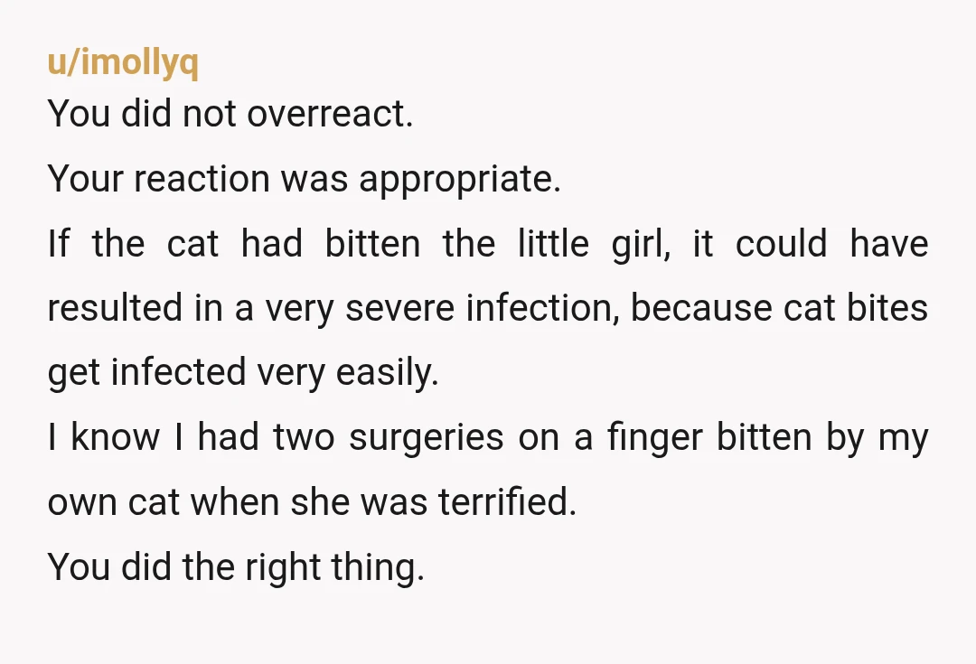 u/kittenspaint NTA, you know exactly why you are in the right and good for you standing up for your cat! As for the stepdaughter giving you the silent treatment..ohhhh noooooo...