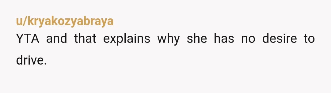 u/Xellbys
So you can't drive but mansplain driving? 
Yes YTA 
