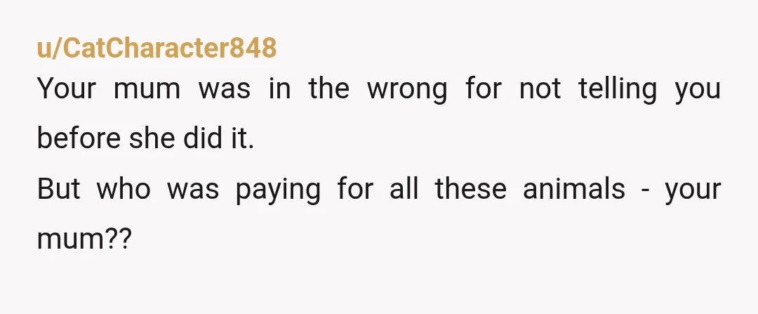 u/MamaFen ESH. Multiple cats and dogs in the house, and you brought in even more without asking the woman who pays for them all. Then proceeded with a profane litany...