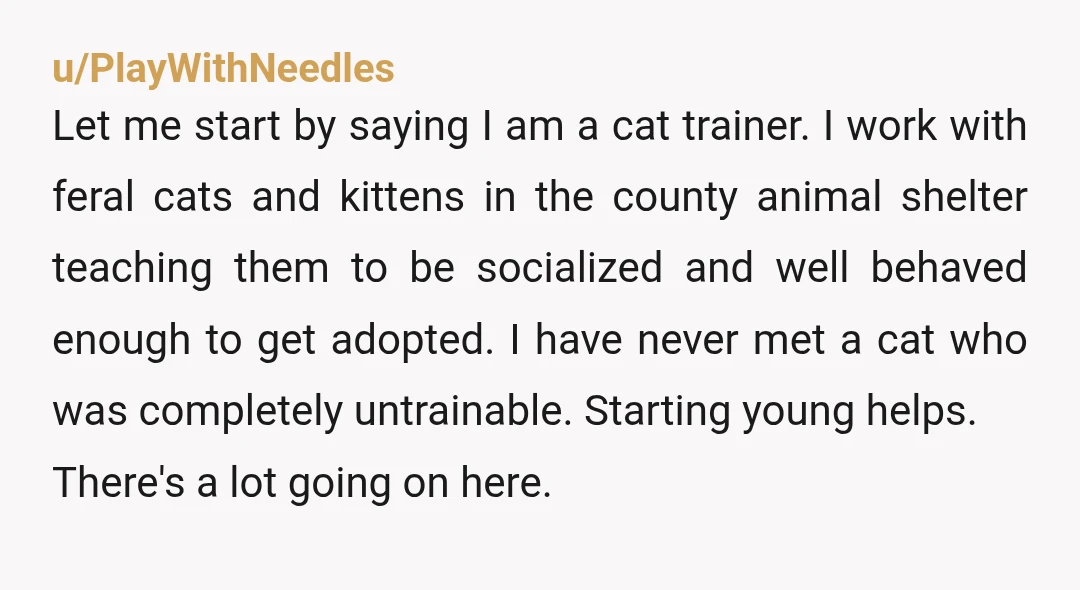 u/kacee1234
Yta, paragraphs! Cats are ahs.
Babies are ahs (they just don’t know better, but it should be expected a 1 yr old won’t understand pulling kitty’s fur is bad).