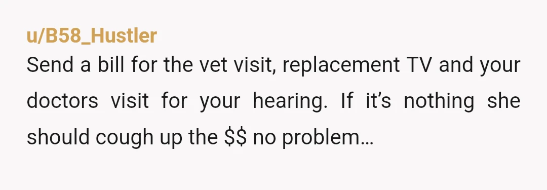 u/AmazonAssassin NTA I would be invoicing her for the tv and vet bill as well and tell everyone what her little crotch goblin did too so she can be publicly...