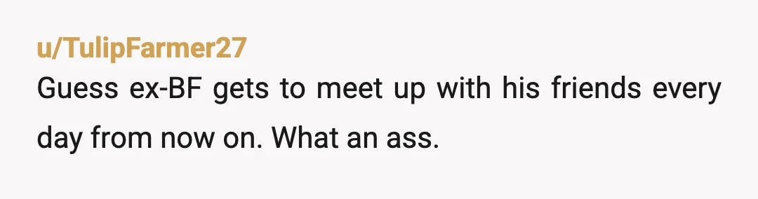 u/TulipFarmer27
Guess ex-BF gets to meet up with his friends every day from now on. What an ass.