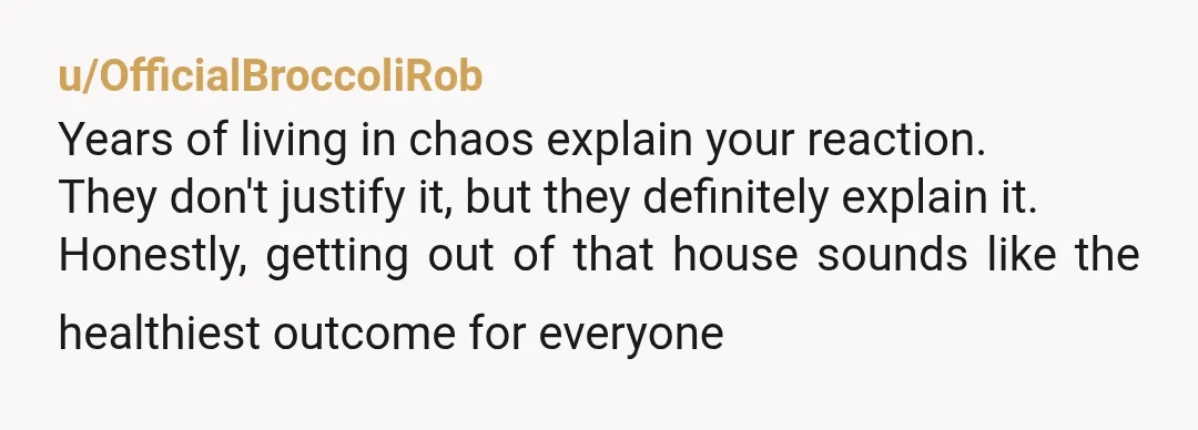 u/OfficialBroccoliRob Years of living in chaos explain your reaction. They don't justify it, but they definitely explain it. Honestly, getting out of that house sounds like the healthiest outcome for...