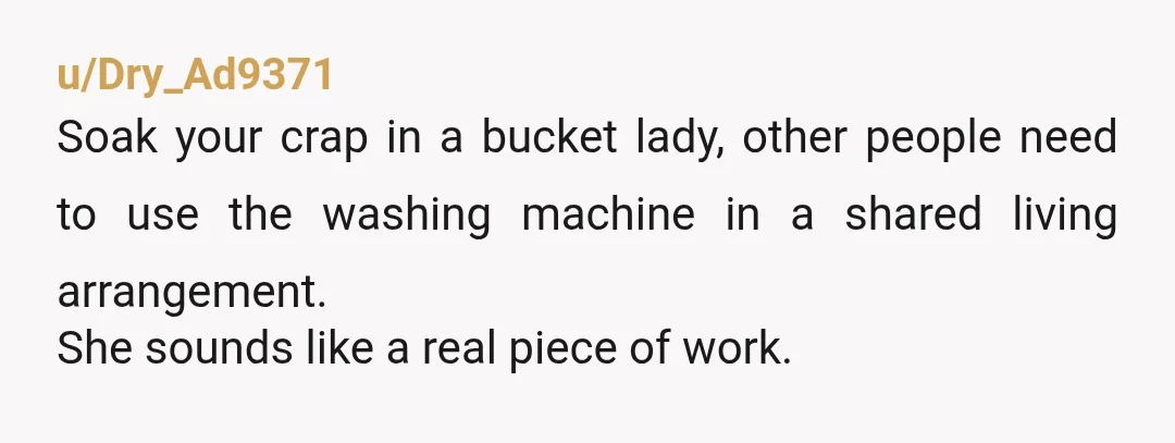 u/Dry_Ad9371
Soak your crap in a bucket lady, other people need to use the washing machine in a shared living arrangement.
She sounds like a real piece of work.
