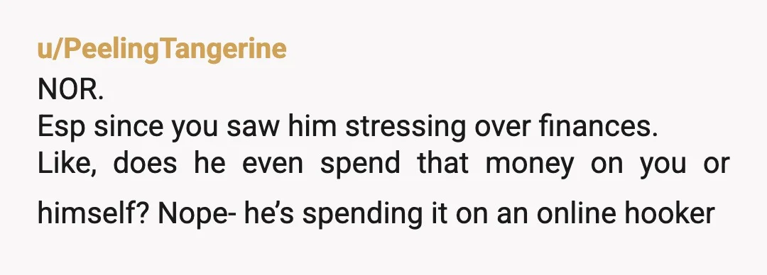 u/PeelingTangerine
NOR.
Esp since you saw him stressing over finances.
Like, does he even spend that money on you or himself? Nope- he’s spending it on an online hooker
