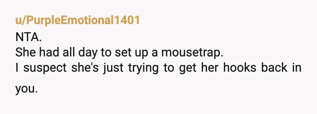 u/PurpleEmotional1401
NTA.
She had all day to set up a mousetrap.
I suspect she's just trying to get her hooks back in you.