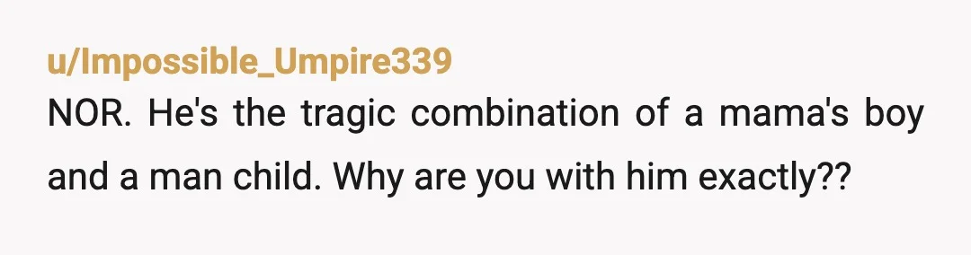 u/Impossible_Umpire339
NOR. He's the tragic combination of a mama's boy and a man child. Why are you with him exactly??