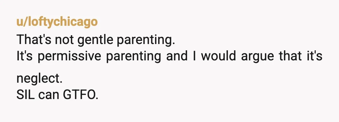 u/loftychicago
That's not gentle parenting.
It's permissive parenting and I would argue that it's neglect.
SIL can GTFO.