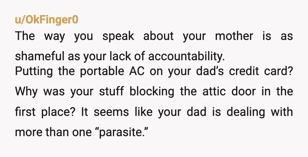 u/IDidItWrongLastTime You live there for free, you used your dad's CC for the AC unit and plan on returning it after using it so you are stealing from both your...