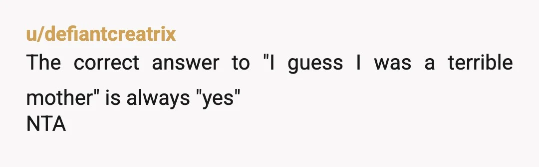 u/defiantcreatrix
The correct answer to "I guess I was a terrible mother" is always "yes"
NTA