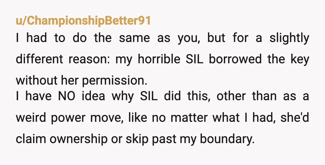 u/ChampionshipBetter91 I had to do the same as you, but for a slightly different reason: my horrible SIL borrowed the key without her permission. I have NO idea why SIL...