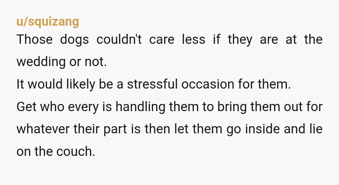 u/Maximum_Law801 If your dogs are too dangerous for toddlers, are you sure all your adult guests are comfortable being around them? This post is all about you not wanting the...