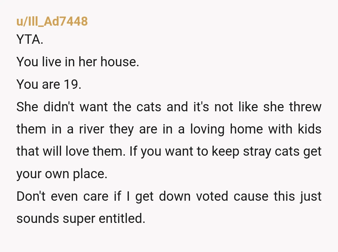 u/be1izabeth0908
Not sure why your diagnoses matter but YTA either way.