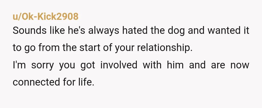 u/Dracawraith I predict dog will “ accidentally get out and run away “ while you’re in the hospital having the baby, and he goes back home to get the phone...