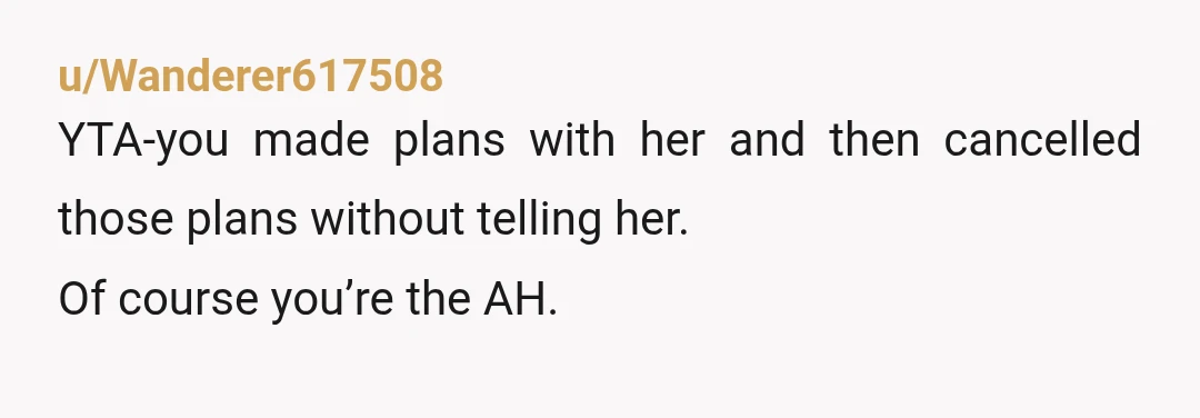 u/Wanderer617508
YTA-you made plans with her and then cancelled those plans without telling her.
Of course you’re the AH.