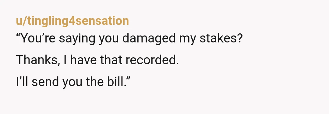 u/tingling4sensation
“You’re saying you damaged my stakes?
Thanks, I have that recorded.
I’ll send you the bill.”