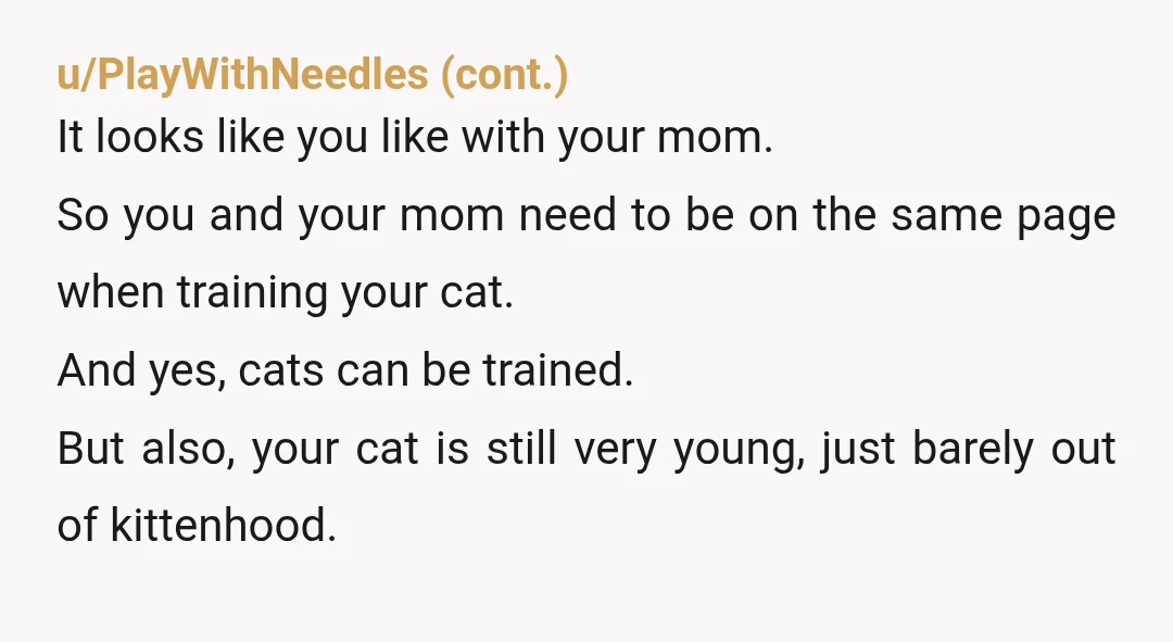 u/DR-0717 I’ll say NTA… BUT putting your kitty in another room while they are there is definitely not cruel to your pet. It’s actually a good idea because it will...