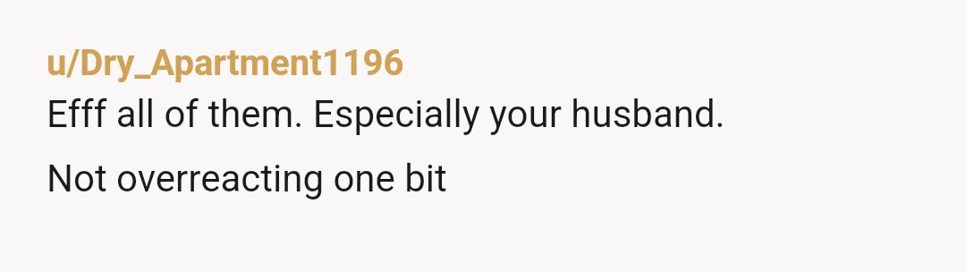 u/CarelessZucchini8477
Send this to your husbands family before they all start attacking you.
Hopefully mil is on your side about this.