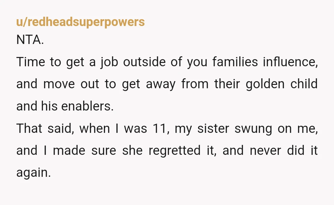 u/ThatHippyPunk NTA, I've been in management and supervisory roles, if I EVER had an employee acting the way little brother does, he'd be sent home. The fact Dad only took...
