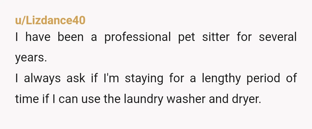 u/Lizdance40 I have been a professional pet sitter for several years. I always ask if I'm staying for a lengthy period of time if I can use the laundry washer...