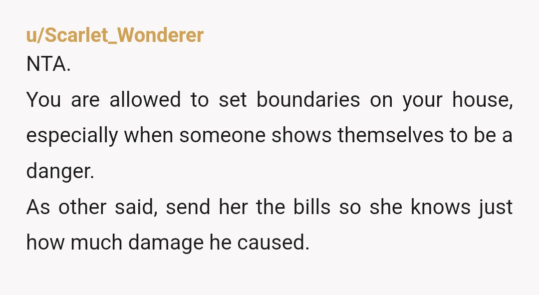 u/EternalGuardian84 NTA: send your SIL a bill. The new Tv, the vet bill, the bill for the wasted food, and anything you need to pay after you see your doctor...