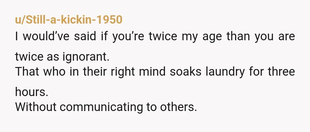 u/Still-a-kickin-1950
I would’ve said if you’re twice my age than you are twice as ignorant.
That who in their right mind soaks laundry for three hours.
Without communicating to others.