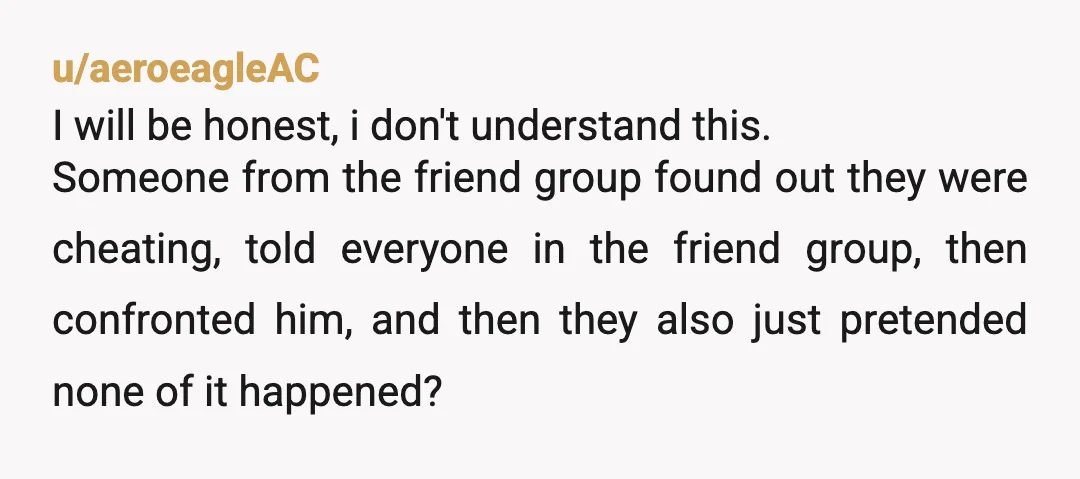 u/aeroeagleAC I will be honest, i don't understand this. Someone from the friend group found out they were cheating, told everyone in the friend group, then confronted him, and then...