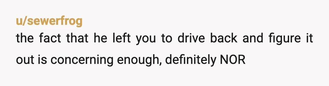 u/sewerfrog
the fact that he left you to drive back and figure it out is concerning enough, definitely NOR