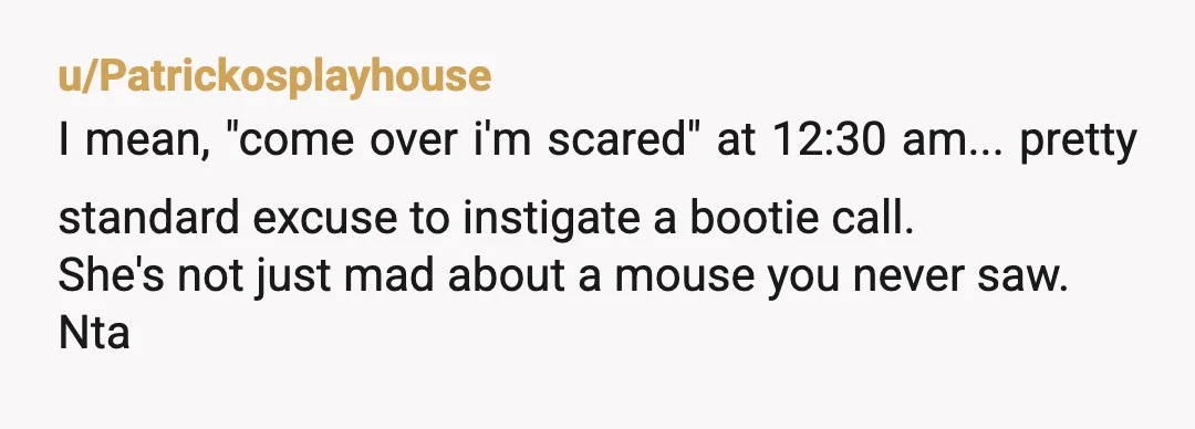 u/Patrickosplayhouse
I mean, "come over i'm scared" at 12:30 am... pretty standard excuse to instigate a bootie call.
She's not just mad about a mouse you never saw.
Nta