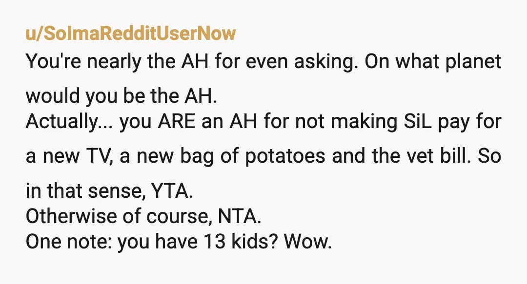 u/SoImaRedditUserNow You're nearly the AH for even asking. On what planet would you be the AH. Actually... you ARE an AH for not making SiL pay for a new TV,...