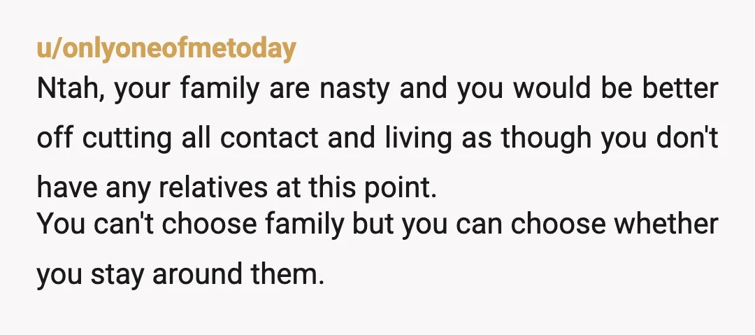 u/Formal_Fan82 NTA but OP for your own mental health just walk away. Find your own family. This one is not it they don’t have your back they treat you like...