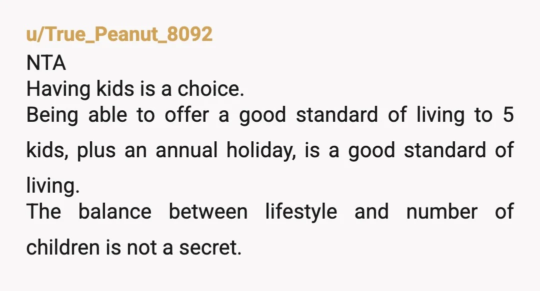 u/True_Peanut_8092 NTA Having kids is a choice. Being able to offer a good standard of living to 5 kids, plus an annual holiday, is a good standard of living. The...