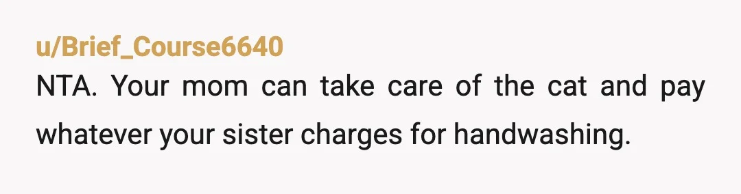 u/Brief_Course6640
NTA. Your mom can take care of the cat and pay whatever your sister charges for handwashing.