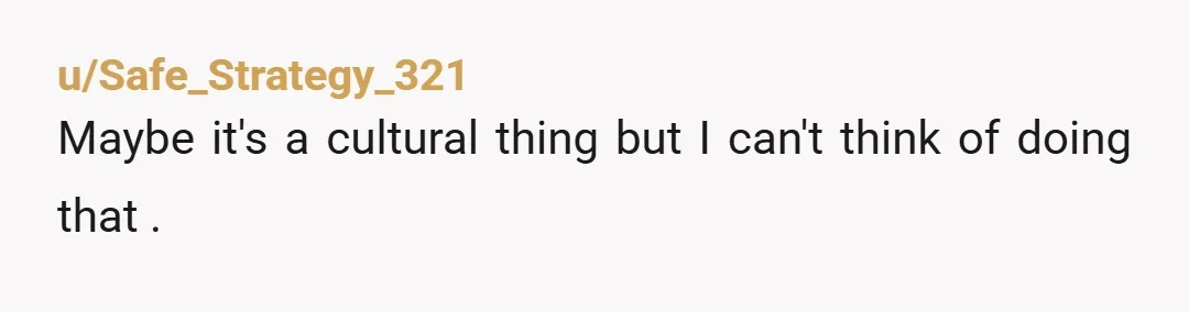u/Safe_Strategy_321 Maybe it's a cultural thing but I can't think of doing that .