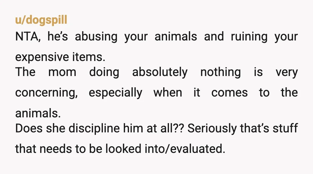 u/dogspill NTA, he’s abusing your animals and ruining your expensive items. The mom doing absolutely nothing is very concerning, especially when it comes to the animals. Does she discipline him...