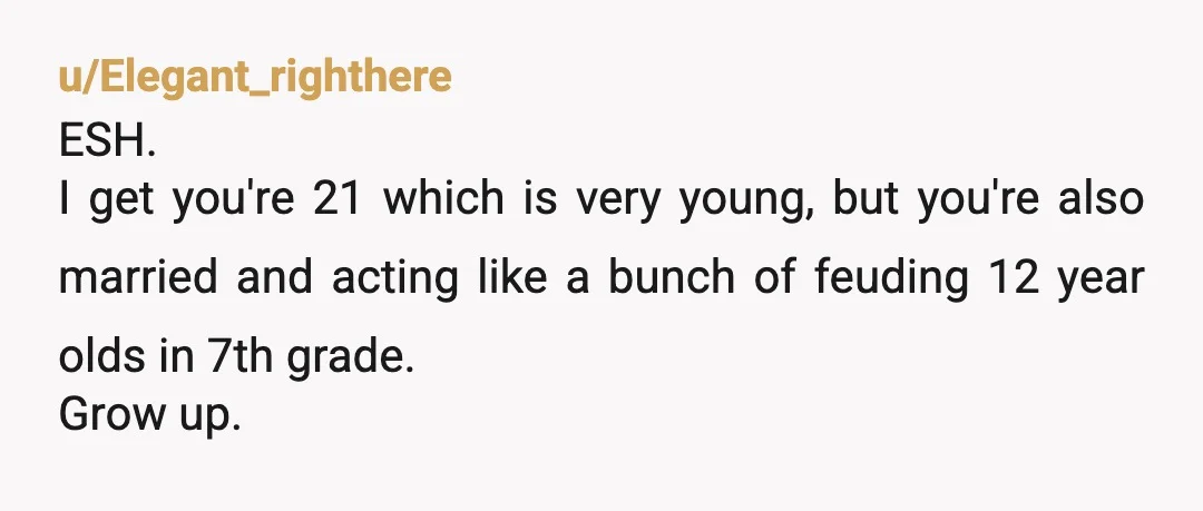 u/Elegant_righthere
ESH.
I get you're 21 which is very young, but you're also married and acting like a bunch of feuding 12 year olds in 7th grade.
Grow up.