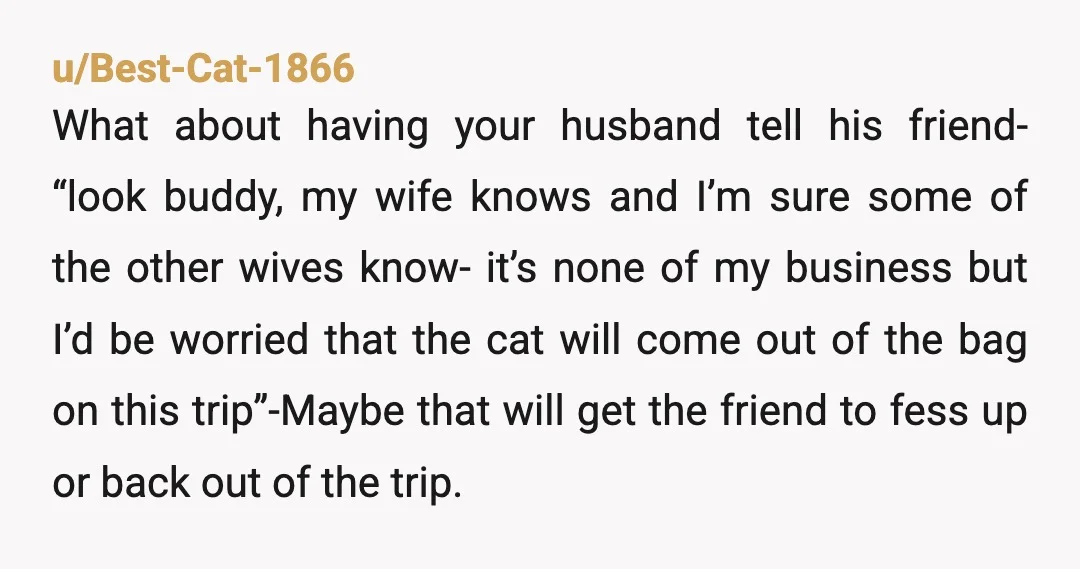 u/Best-Cat-1866 What about having your husband tell his friend- “look buddy, my wife knows and I’m sure some of the other wives know- it’s none of my business but I’d...