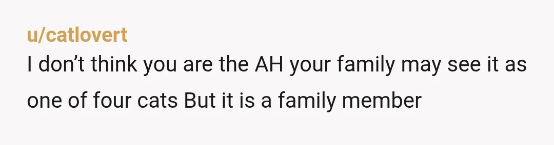 u/catlovert
I don’t think you are the AH your family may see it as one of four cats But it is a family member