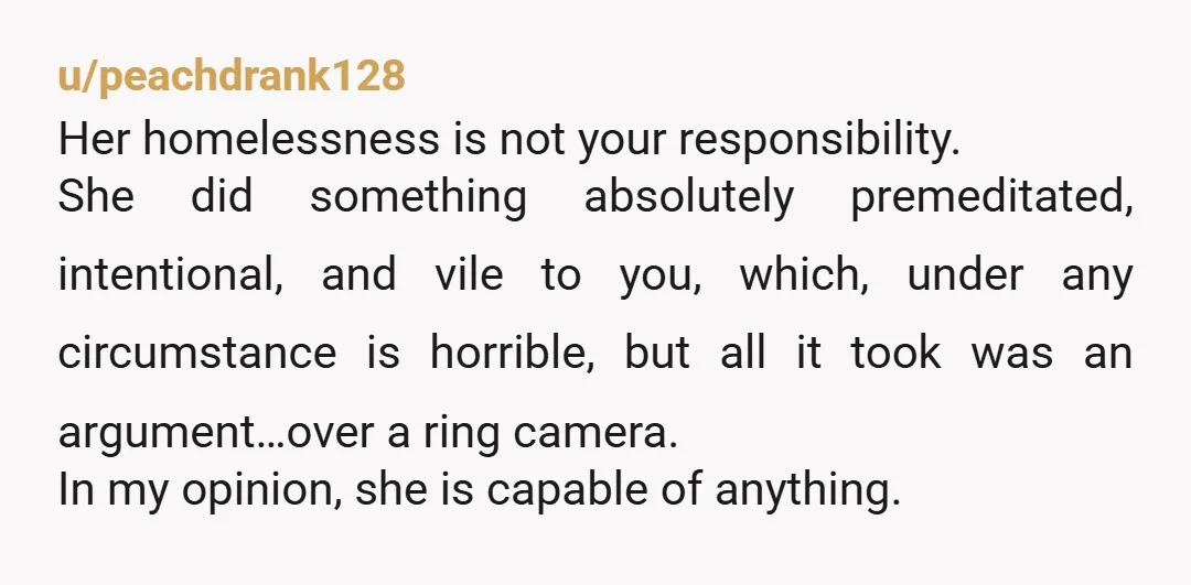 u/peachdrank128 Her homelessness is not your responsibility. She did something absolutely premeditated, intentional, and vile to you, which, under any circumstance is horrible, but all it took was an argument…over...
