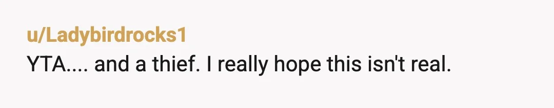u/Ladybirdrocks1
YTA.... and a thief.  I really hope this isn't real.