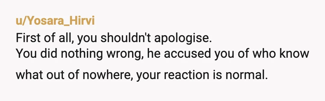 u/Yosara_Hirvi First of all, you shouldn't apologise. You did nothing wrong, he accused you of who know what out of nowhere, your reaction is normal. Wether you want to rekindle...