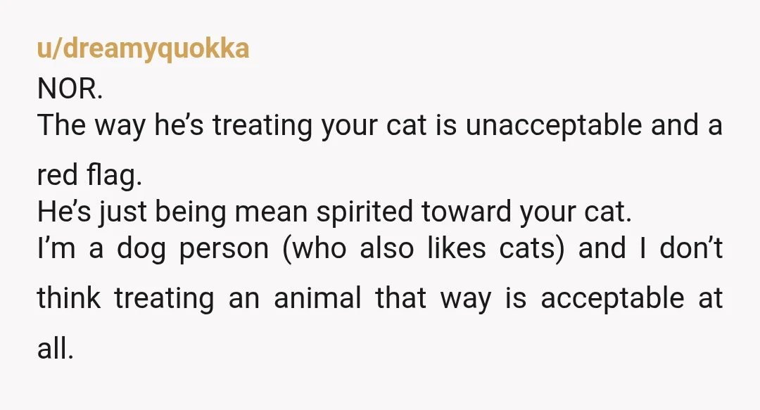 u/Creepy_Push8629 You don't know what he does to your cat when you aren't there. You either get cameras or better yet, break up with him. Your cat isn't safe around...