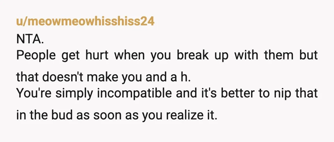 u/Wonderful_Citron_518 She’s made some poor choices in the past and is actively trying to change why and take her time. Which is sensible and prob what a therapist would recommend....