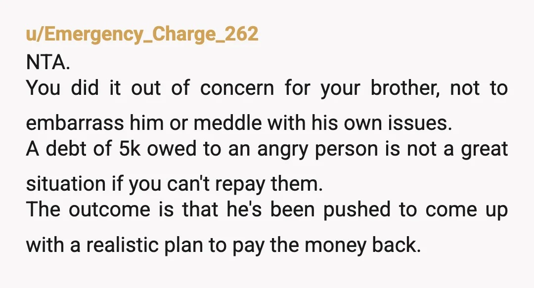 u/ManifestDiatribe NTA. This was clearly above your brother's pay grade, even though he's technically an adult. He got in over his head and was not mature enough to handle it...