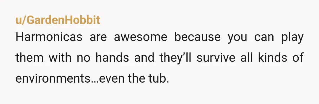 u/GardenHobbit
Harmonicas are awesome because you can play them with no hands and they’ll survive all kinds of environments…even the tub.