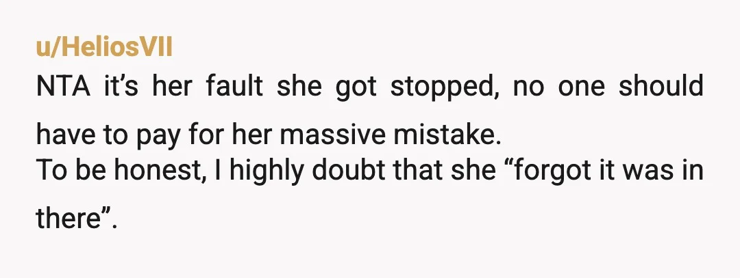 u/NixKlappt-Reddit Definately NTA She messed up. She committed a crime. Totally her fault. Not even any insurance would cover such preventable mistakes. According to her logic, if everyone except one...