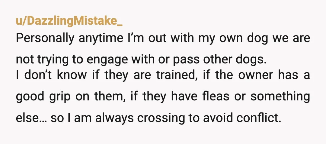 u/DazzlingMistake_ Personally anytime I’m out with my own dog we are not trying to engage with or pass other dogs. I don’t know if they are trained, if the owner...