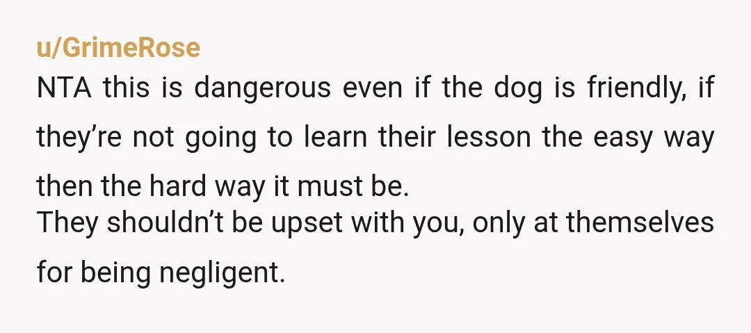 u/Glittering-Paper4516
If they’re so worried he will be taken away they can put him on a lead NTA